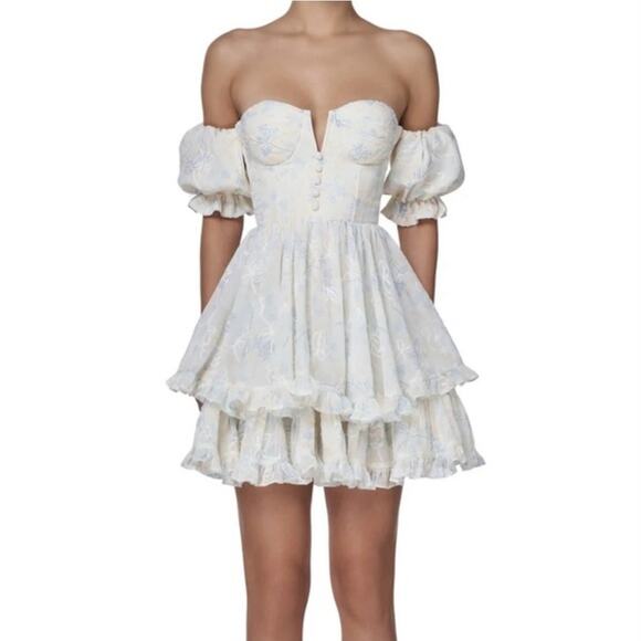 Adeirlina Summer in Tuscany Mini Dress size XS floral coquette milkmaid fairy - Picture 3 of 11